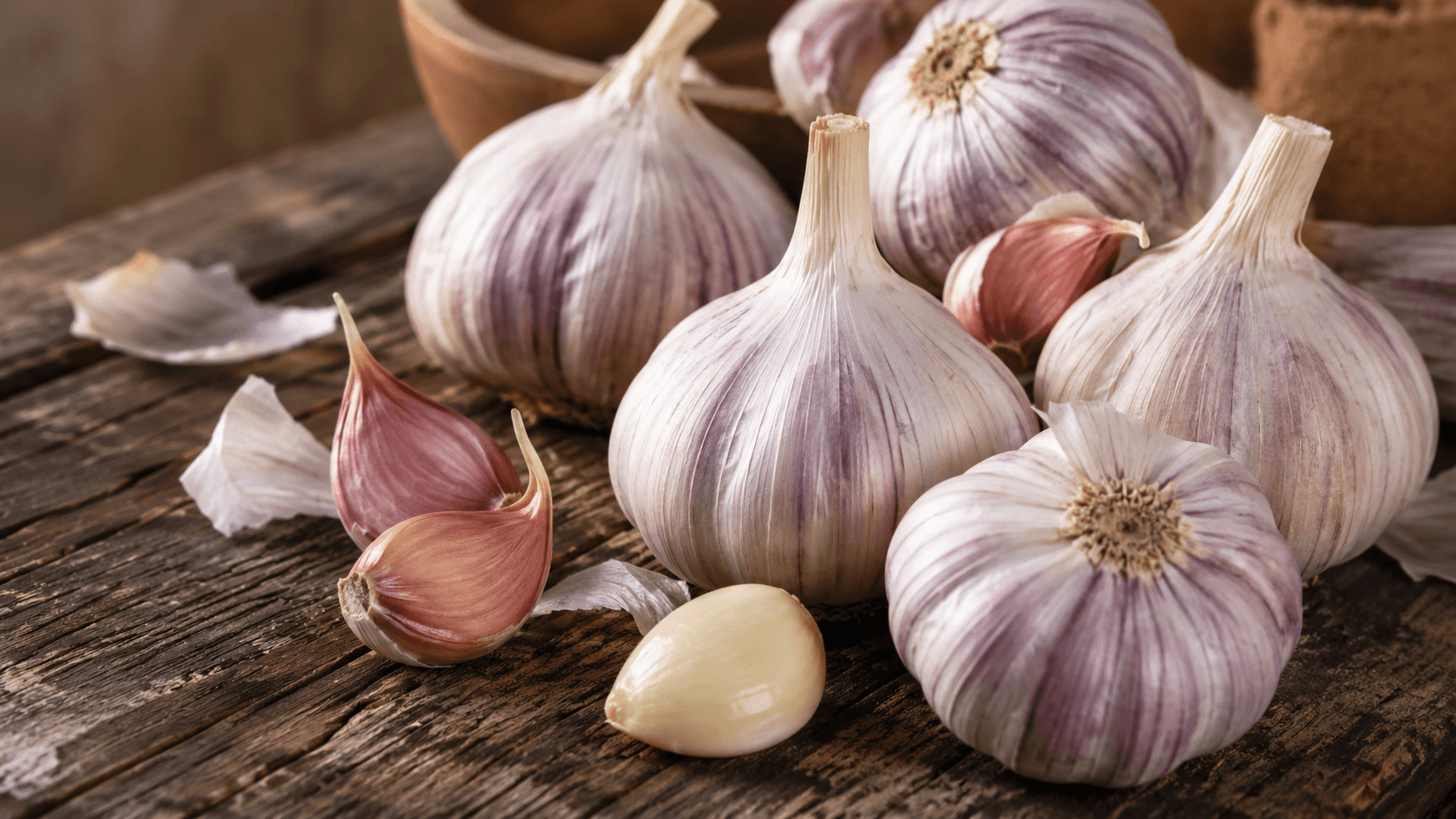 garlic